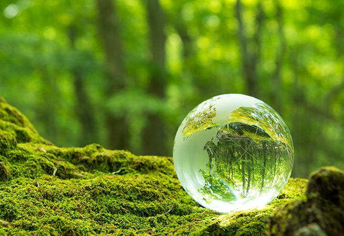 ソリューション: プライバシーとマルウェアによる41番目の解決策 イメージ 2